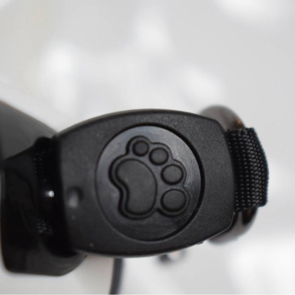 Retractable Dog Leash with LED Flashlight - Picture 4 of 9